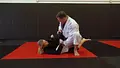 White To Grey Belt Fundamentals by Luke Harris image 6