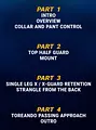 Fundamentals of Jiu-Jitsu: Introduction To Meregali’s Gi System by Nicholas Meregali image 2