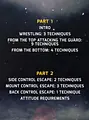 Luta Livre: Yellow Belt Requirements by Nicolas Renier image 2