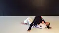 Blue Belt Requirements 2.0 by Roy Dean image 4