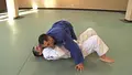 Brazilian Jiu Jitsu Brown Belt Requirements by Roy Dean image 2