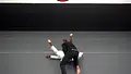 Brazilian Jiu Jitsu Requirements: Purple Belt 2.0 by Roy Dean image 5