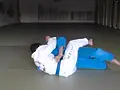 Brazilian Jiu Jitsu Blue Belt Requirements by Roy Dean image 2