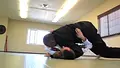 The Pressure Seminar by Roy Harris image 3