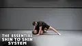 The Essential Shin To Shin System by Shawn Williams image 3