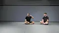 The Essential Shin To Shin System by Shawn Williams image 5