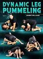 Dynamic Leg Pummeling by Shawn Williams image 1