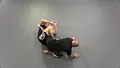 Dynamic Leg Pummeling by Shawn Williams image 5
