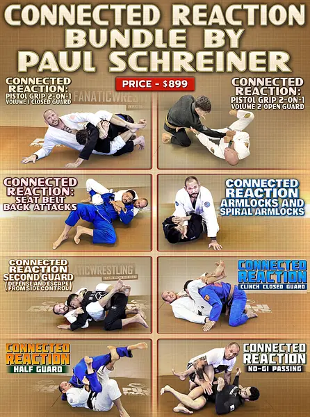Connected Reaction Bundle by Paul Schreiner