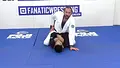 Connected Reaction Armlocks and Spiral Armlocks by Paul Schreiner image 5