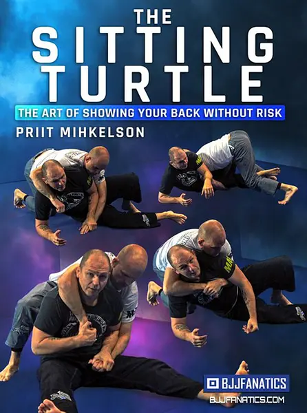 The Sitting Turtle by Priit Mihkelson