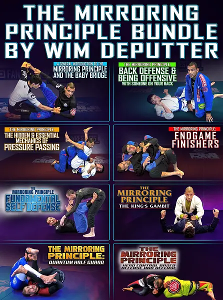 The Mirroring Principle Bundle by Wim Deputter