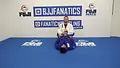 BJJ Basics by Travis Stevens image 5