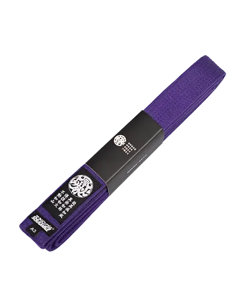 Elemental Belt – Purple