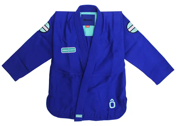 Blueberry 4.0 - Gi