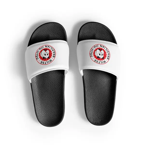 Slides