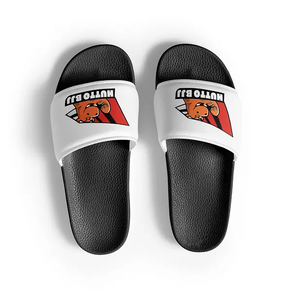 Slides