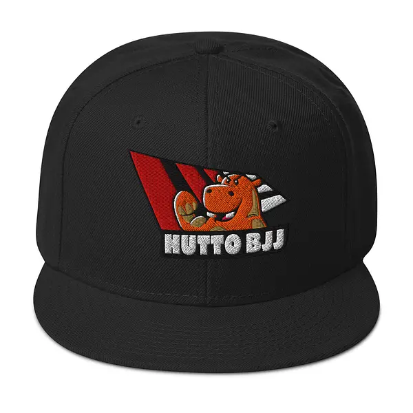 Snapback Hat