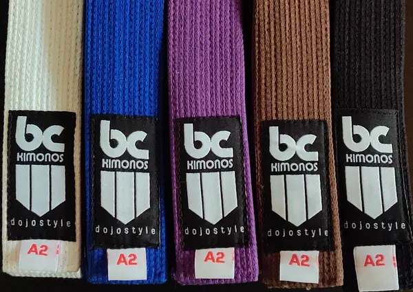 BJJ Ranked Belt: Essential Hybrid Pearl Weave
