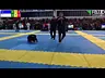Pedro Rocha Deo JJ VS Vinicius Atlas JJ - Centro Oeste FBJJd - 26/08/2023