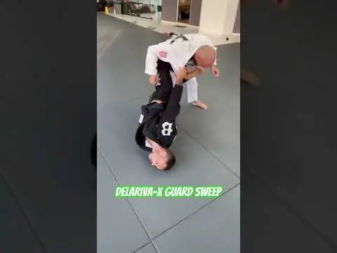 Delariva X Guard Swep