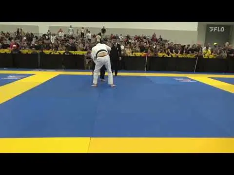 Daniel Camarillo vs Thao Dinh Le IBJJF Master Worlds 2023 match 1