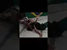 Vídeo completo no canal! #adcc #champion #camp #bjj