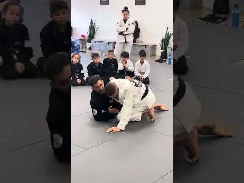 Lucas Leite half guard