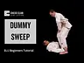 BJJ Beginners Tutorial - Dummy Sweep
