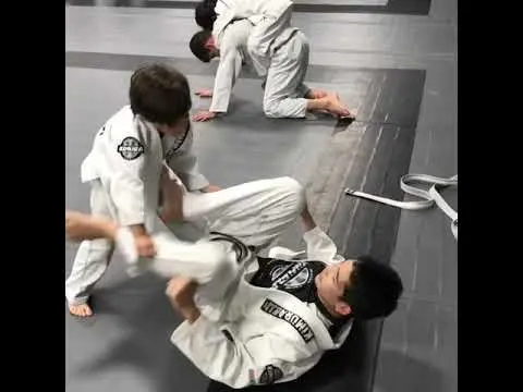Kimura anti-bulling program