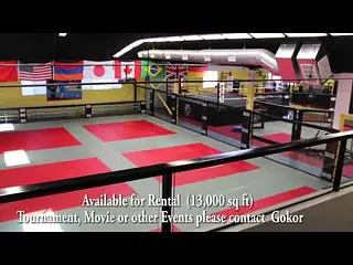 Hayastan MMA Academy