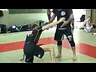 Gokors Chivichyan Seminar tour in Europe April 2014