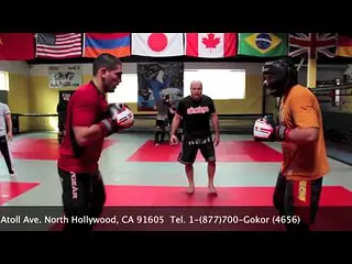 Hayastan MMA Academy Fighters 2013