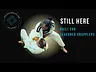 Still Here: Why Seasoned Grapplers Train Differently — And What It Looks Like