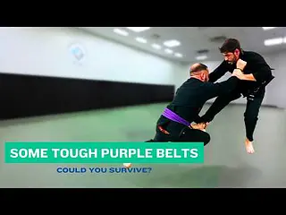 Purple Reign - BJJ Purple Belts Terrorizing the Mats