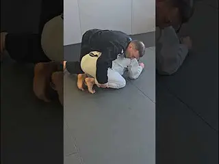 Technique 12 of 50 - Bow and arrow choke from the turtle position. 50 Techniques in 50 days!#bjj#mma