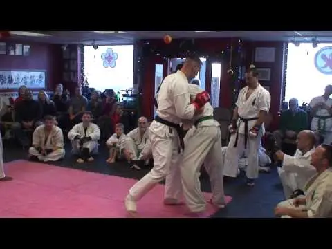 Highlights from MMA Fighter Don Walton's Kyokushin Brown Belt Test