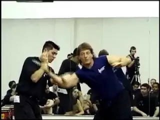 Sifu PV2 Converted