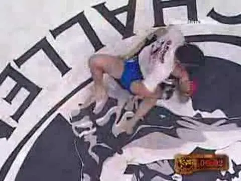 Demian Maia MMA highlight
