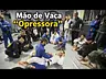 Mão de Vaca “Opressora” | Treino aberto na matriz Dennis Jiu-Jitsu Club em Maringá, PR 🇧🇷