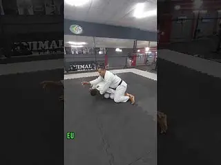 finalização do quatro apoios