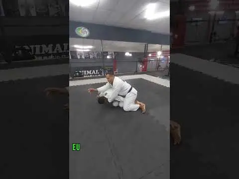 finalização do quatro apoios