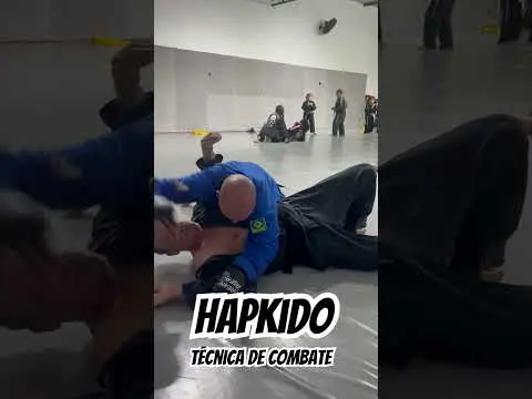 Derrubando o outro lutador no chão. #Hapkido: opção de técnica de luta  #bjj #fight #kickboxing #mma