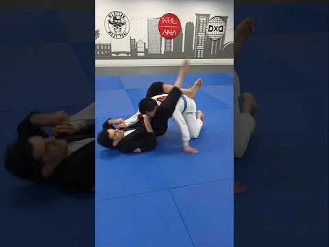 Single Leg X to Triangle #milliondollarbaby #bjj #gi #makegigreatagain