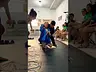 Que tus niños aprendan Jiujitsu en #lacostajiujitsu Team #acapulco Entrenamientos #bjjkids