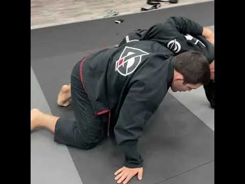 Step-over Back Take from Half Guard / Dog Fight
