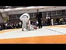 Absolute Black Belt Division Dave Hart vs Craig Harmer
