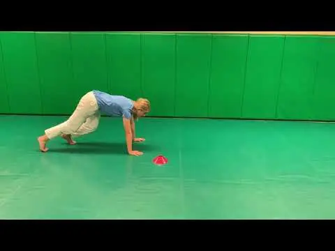 Bear Crawl