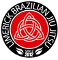 Limerick BJJ Academy logo