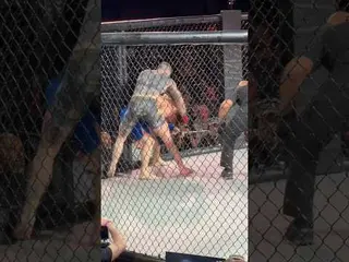 Crazy 60 second MMA KO🤯 #mma #ko #tko